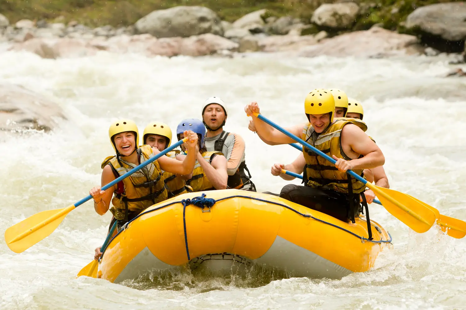shutterstock_114911380