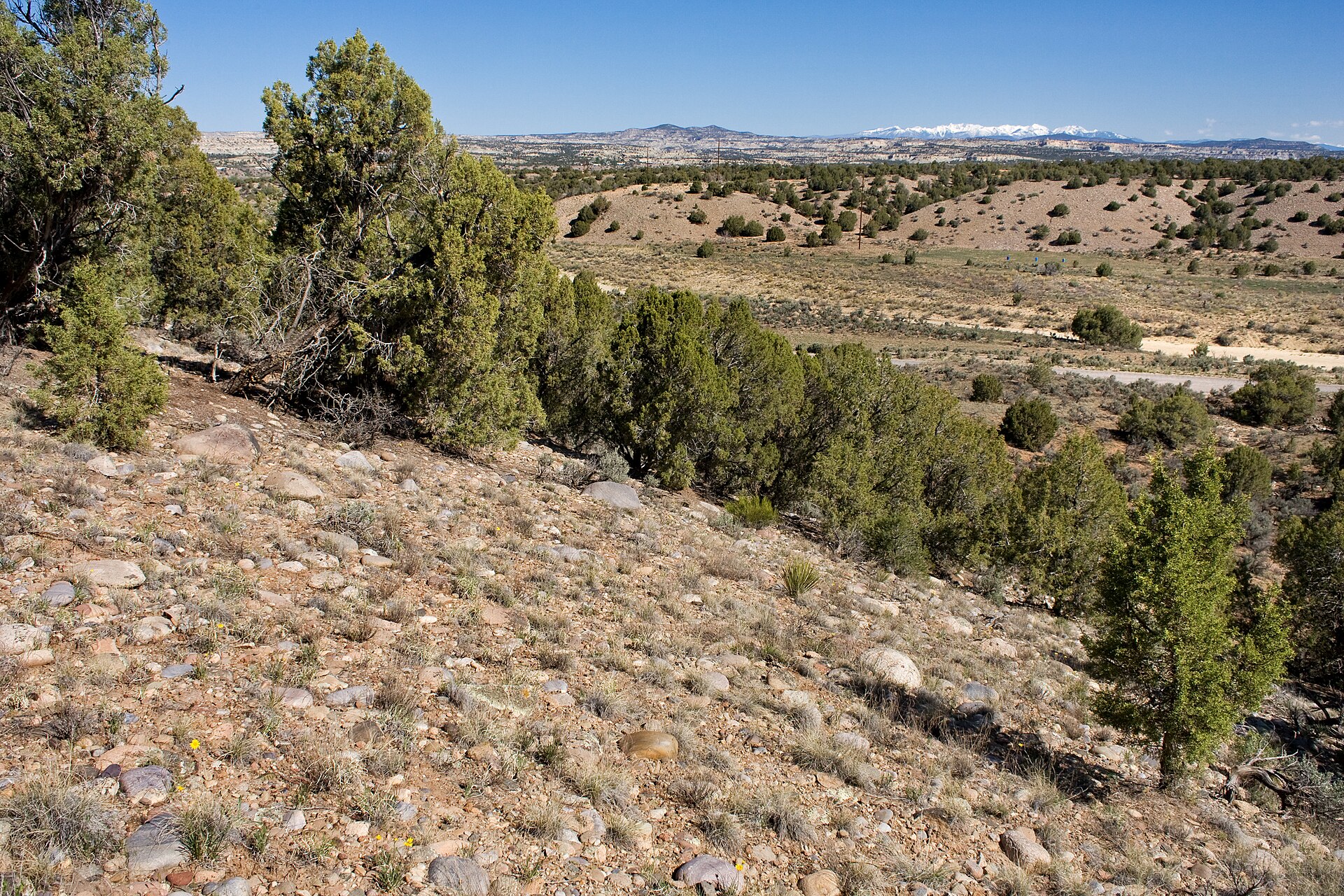 Juniper-dotted high desert in Hart Canyon near Aztec, New Mexico, with snow-capped La Plata Mountains on the horizon