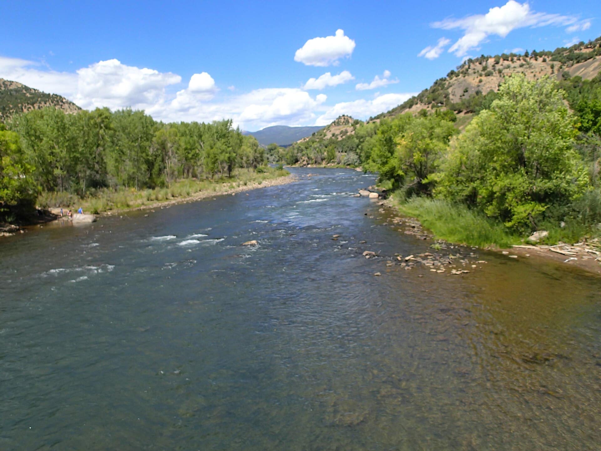 The Animas River flowing between green cottonwoods and scrubby hills under a blue sky, seen from a bridge on Durango's Animas River Trail