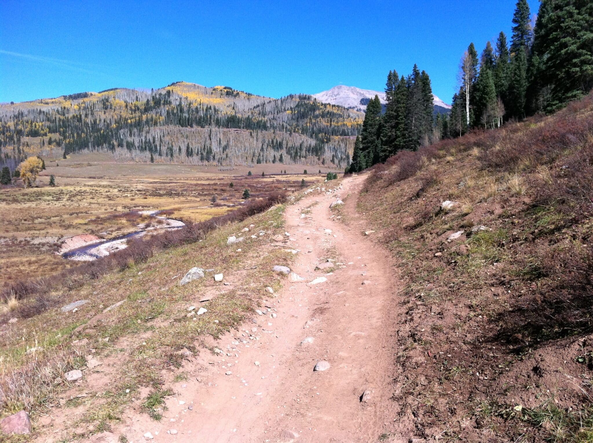 Dirt singletrack of the Hermosa Creek Trail winding above a creek meadow, with autumn aspens and a mountain peak under blue sky