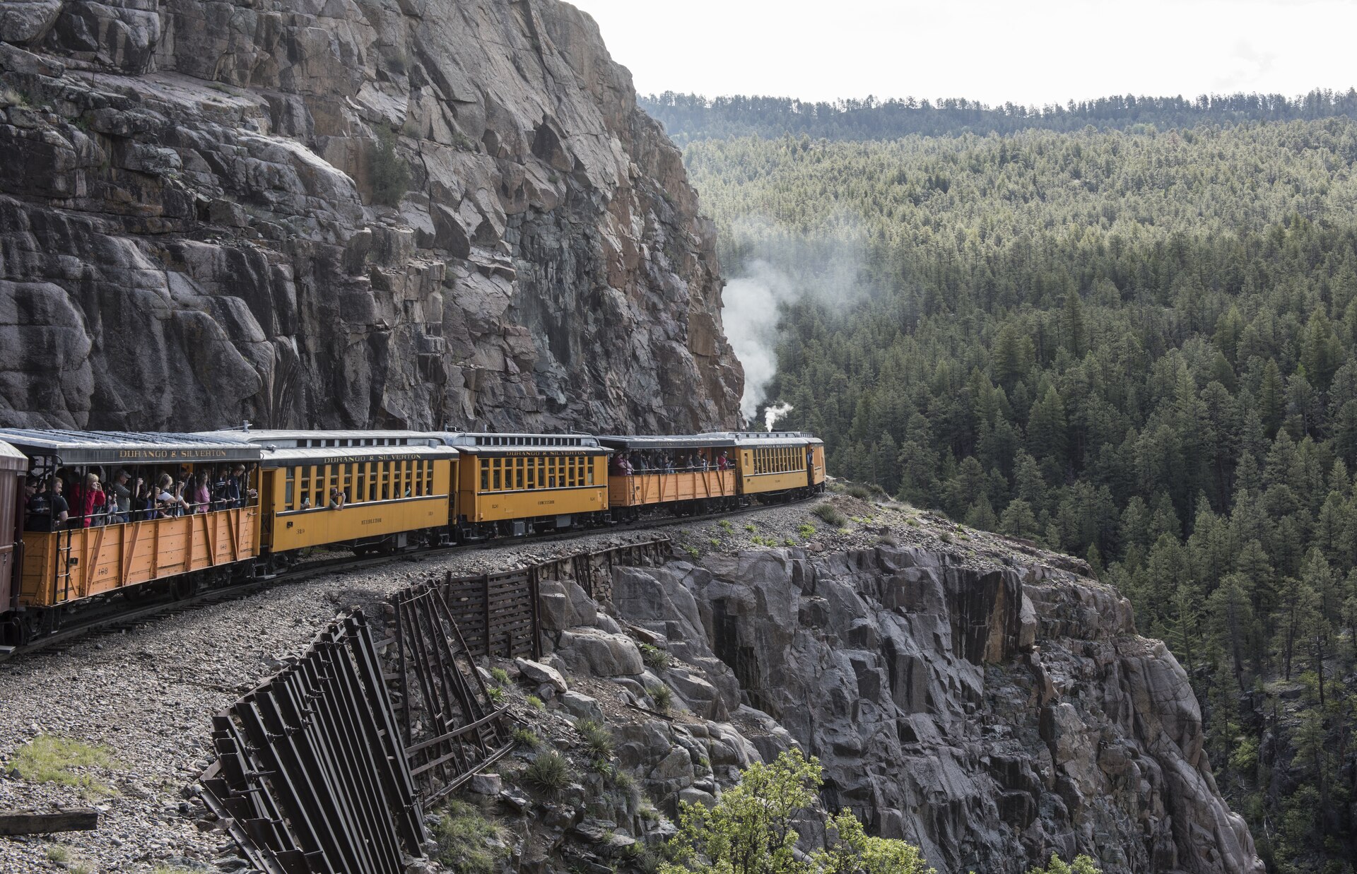 Durango & Silverton steam train with yellow coaches edging along the rocky Highline shelf high above the forested Animas River canyon