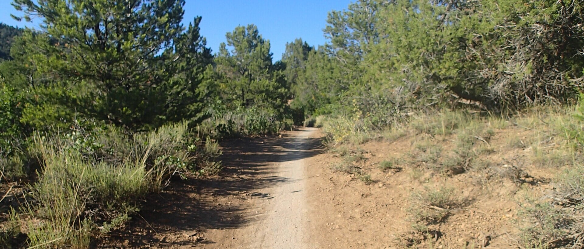 Dirt singletrack winding through piñon, juniper and sagebrush in Durango's Horse Gulch trail system on a sunny day